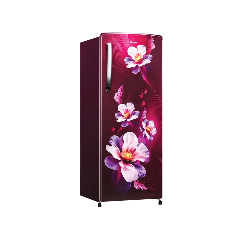 Haier 235L 2 Star Direct Cool Refrigerator - HRD-2562CRK-N